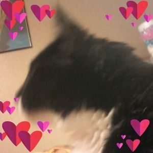 Meet your Posher, Dondd